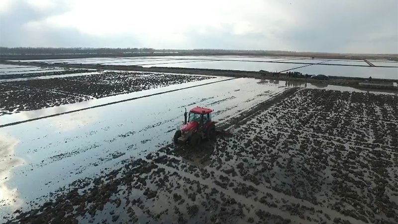 Tracteur sans conducteur LY1104-C en fonctionnement