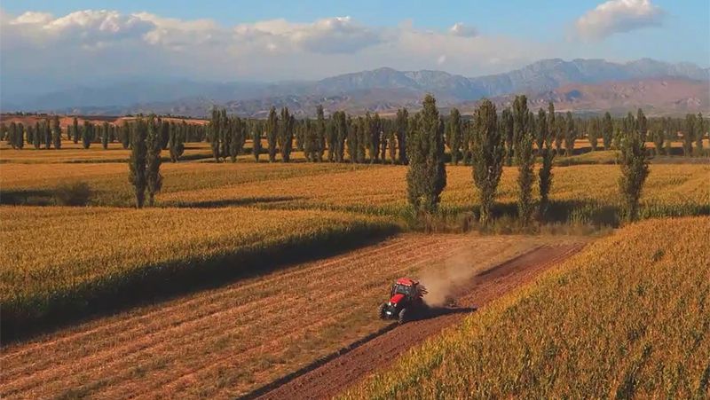 Vidéo immersive du tracteur